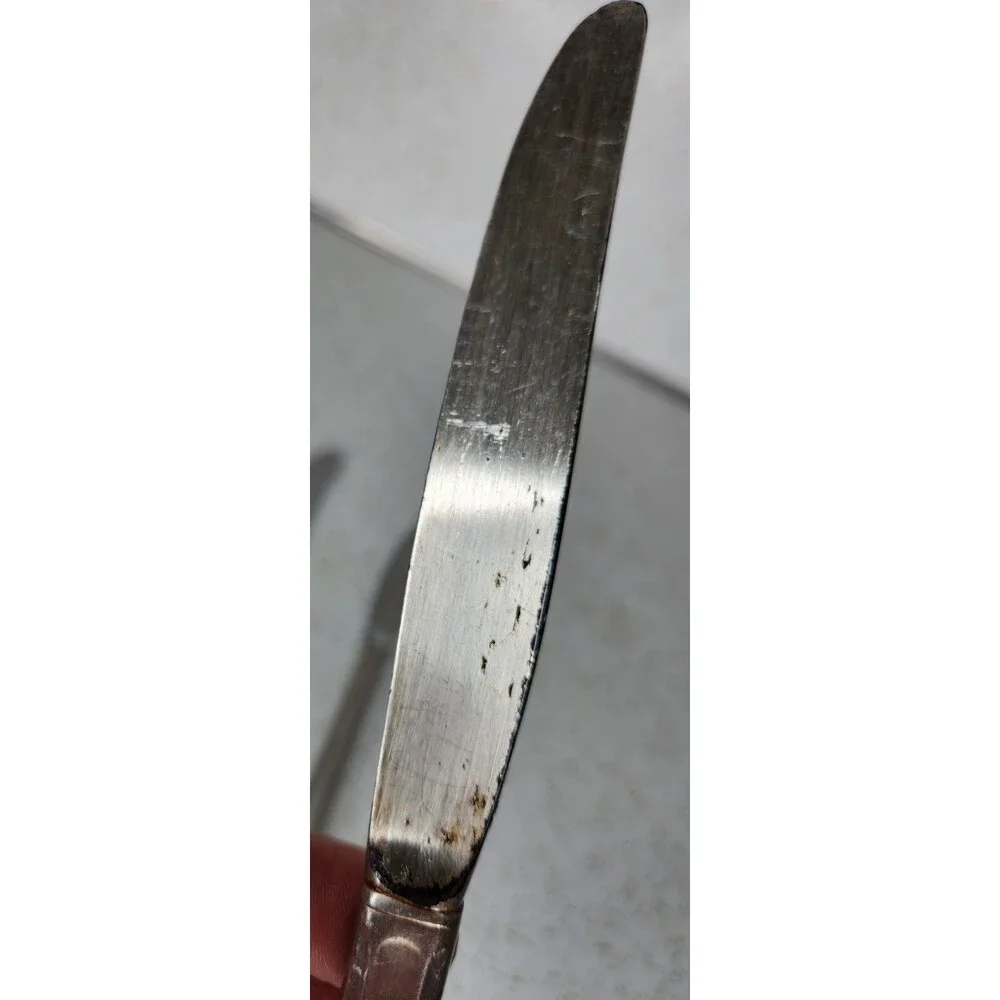 Vintage 1847 Rogers Bros ETERNALLY YOURS Dinner Knives Silverplate 4 Pcs *Read*